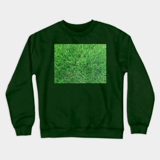 grass lawn Crewneck Sweatshirt